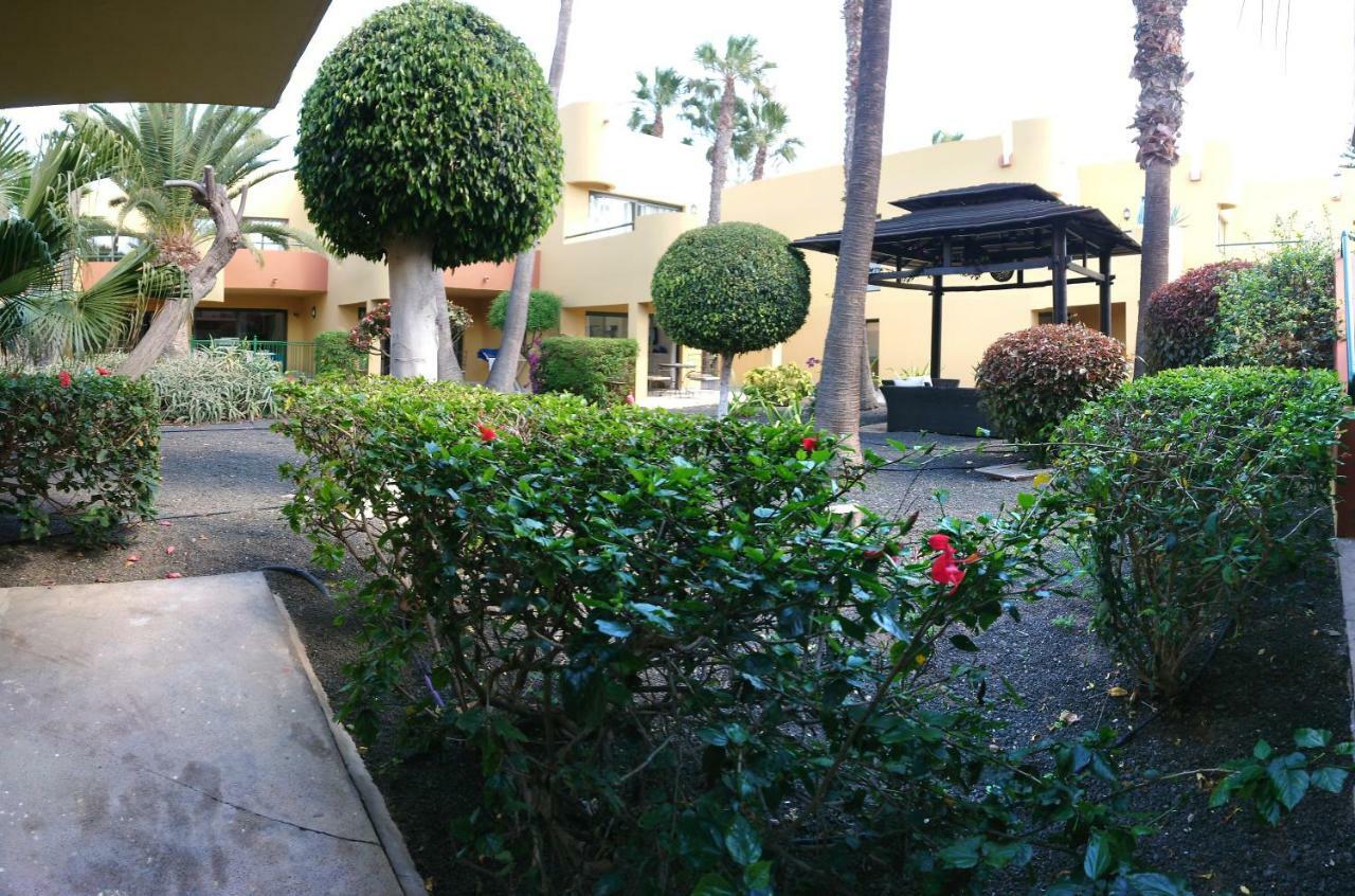 Appartement Atlantic Corralejo